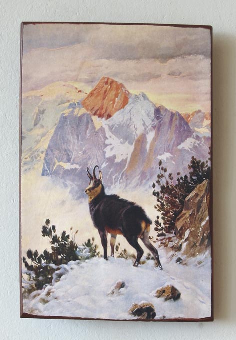 http://bilder.antiksalzburg.at/bildergalerie/Jagdbilder_Galeriebild/Jagdbilder_Galeriebild/5671_89_Gemswild_ziegel.jpg