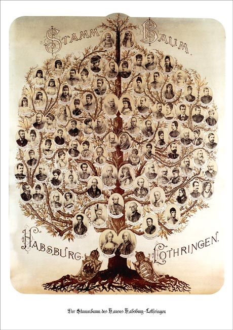 http://bilder.antiksalzburg.at/bildergalerie/Kaiserhaus/Kaiserhaus/76_Stammbaum-Habsburger.jpg