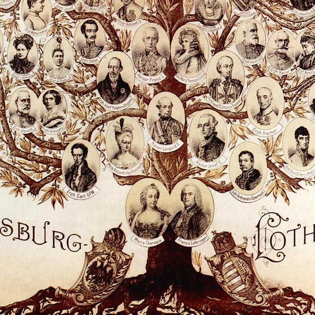 http://bilder.antiksalzburg.at/bildergalerie/Kaiserhaus/Kaiserhaus/76_Stammbaum-Habsburger_02.jpg