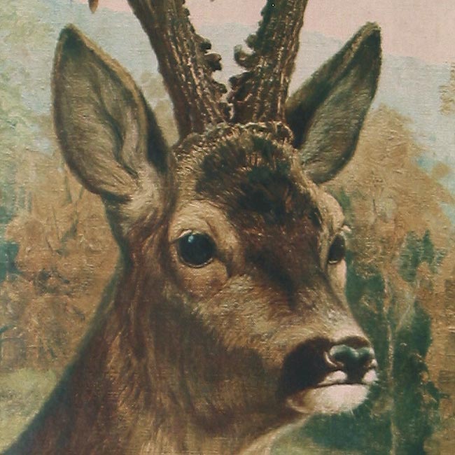 http://bilder.antiksalzburg.at/bildergalerie/Ziegel_Galeriebild/Ziegel/5754_65_Rehkopf02-ziegel02.jpg
