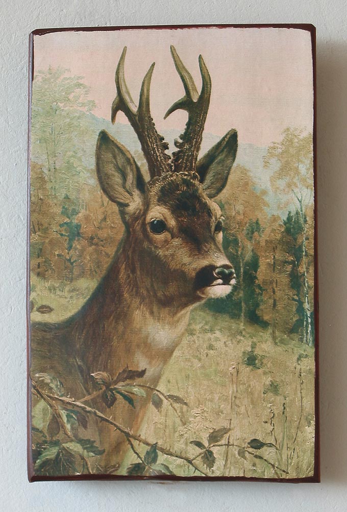 http://bilder.antiksalzburg.at/bildergalerie/Ziegel_Galeriebild/Ziegel/5755_65_Rehkopf02-ziegel.jpg