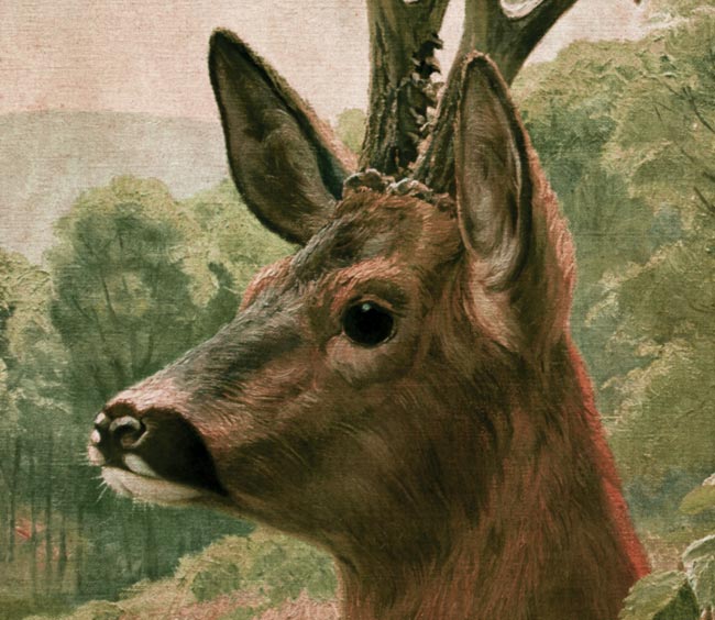 http://bilder.antiksalzburg.at/bildergalerie/Ziegel_Galeriebild/Ziegel/5756_63-Rehkopf-ziegel02.jpg