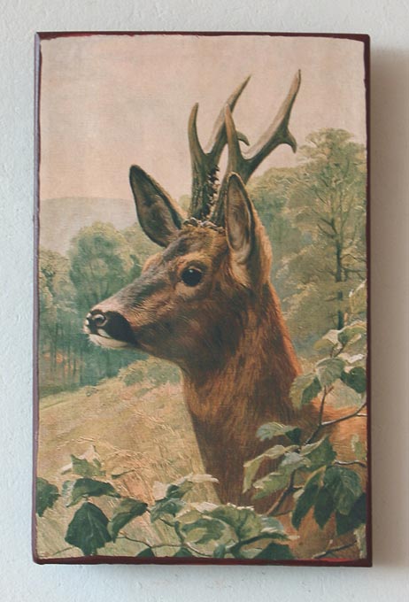 http://bilder.antiksalzburg.at/bildergalerie/Ziegel_Galeriebild/Ziegel/5757_63-Rehkopf-ziegel.jpg
